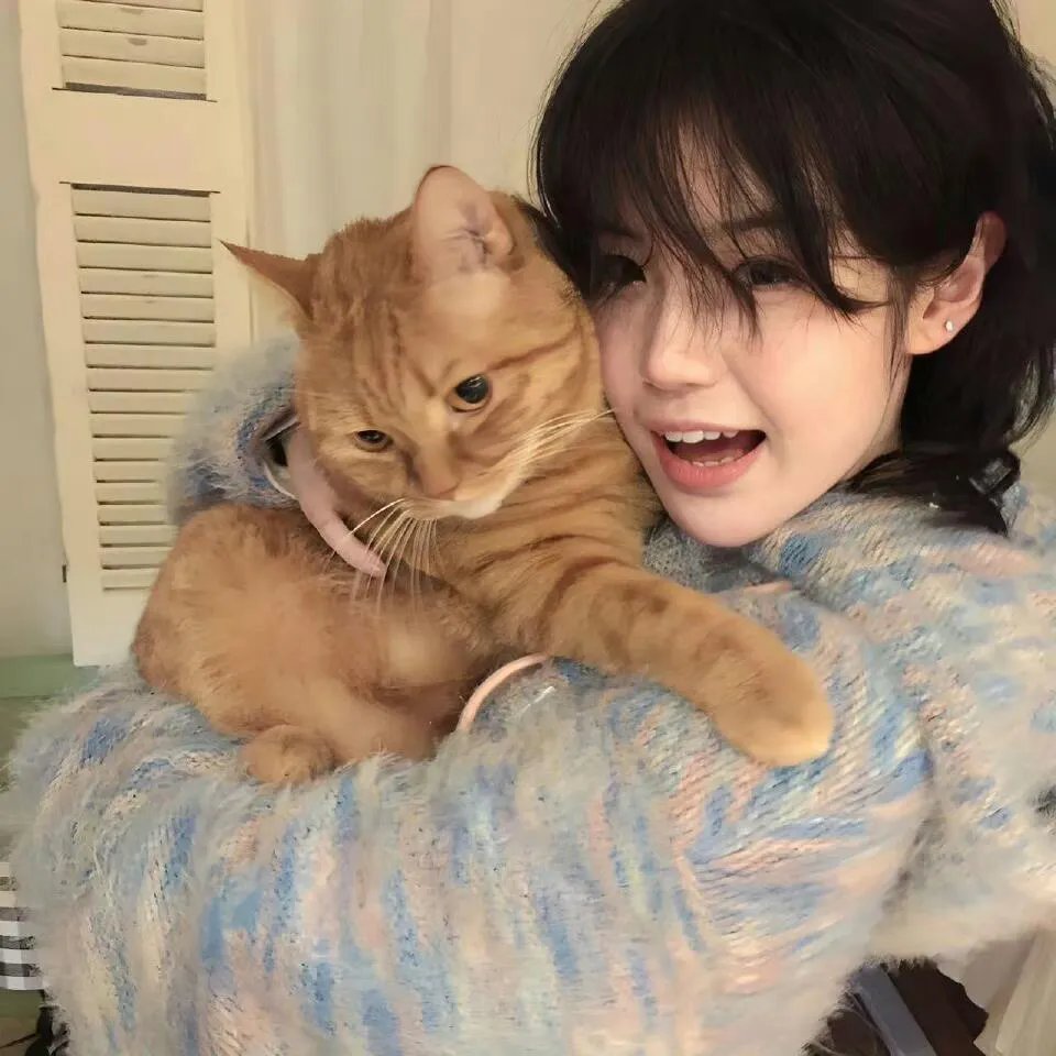 爱丽丝与梦幻岛